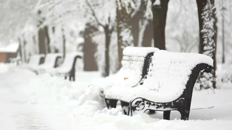 Lonely bench in winter park Stock Footage 46042440