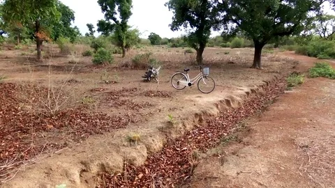 Lonely bicycle in the bush Video stock 80509986