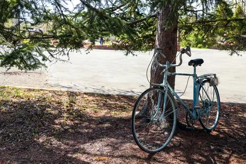A lonely bike in the park Stock Photos
