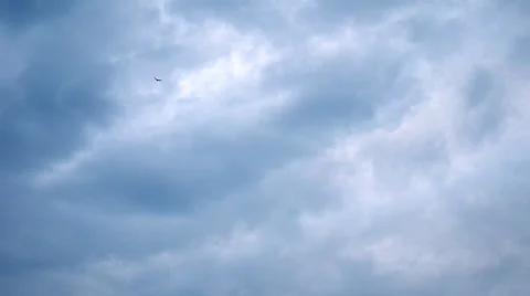 Lonely bird on a cloudy sky Stockbeeldmateriaal 51703247