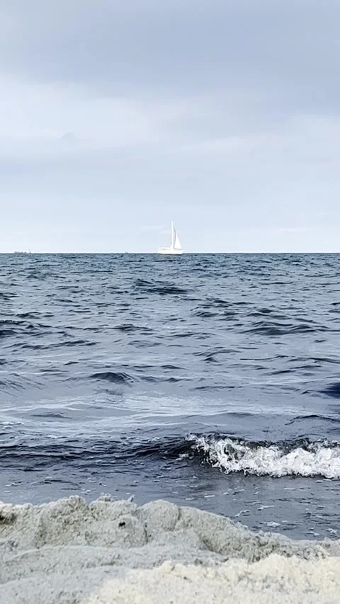 Lonely Bird Flying Over Calm Sea Minimal Concept Stock Footage 340162210