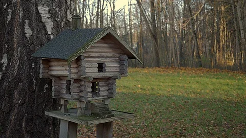 A lonely bird table in the backyard wating for birds Stock Footage 93511743