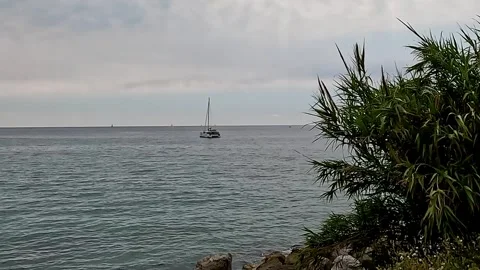 Lonely boat moored in front of the beach Stock Footage 317097152