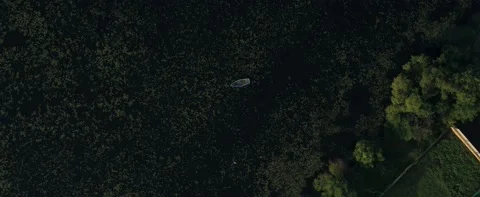 A lonely boat on the river Stock Footage 141886474