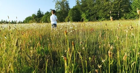 Lonely boy in a field Stock Footage 110285437