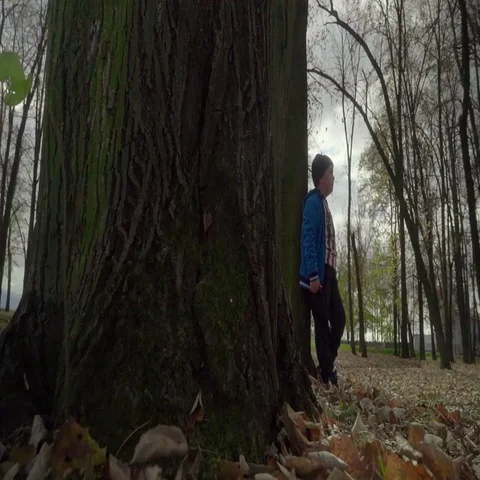 A lonely boy leans upon a tree. Forest. Autumn. Sliding shot. Stock Footage 69322838