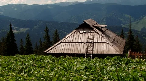 Lonely cabin sheep on a background of mountains Stock Footage 69009068