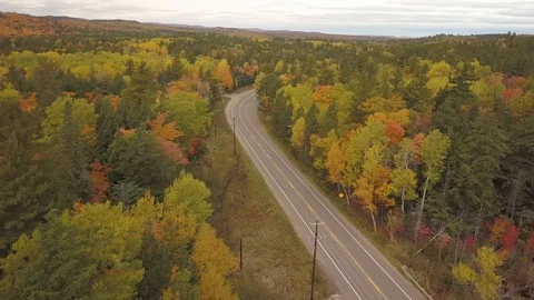 Lonely car on forest road Stock Footage 100127285