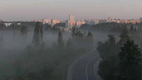 Lonely car on the road inside a forrest misty morning Stock Footage 167902574