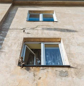 Lonely cat on the edge of a window Stock Photos