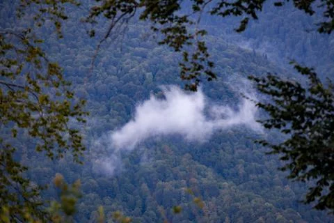 A lonely cloud against the background of forest mountains Stock Photos