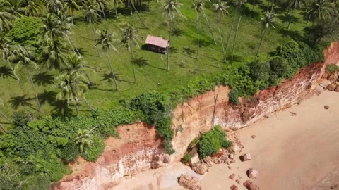 Lonely cottage by the red cliff surrounded by palm trees. Video stock 204073157