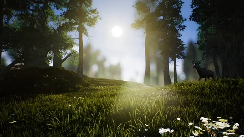 Lonely Deer 1 Stock Footage 86796377