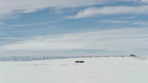 Lonely desolate log cabins at Canada's  Ivvavik NP coast in winter Foto stock