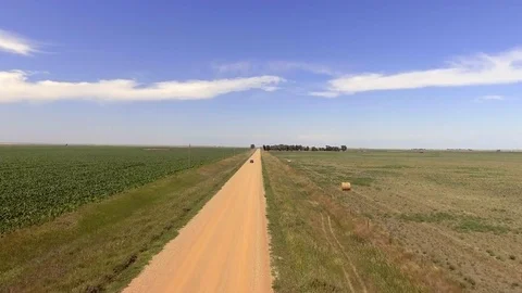 Lonely Dirt Road through Cornfields Stock Footage 75871941