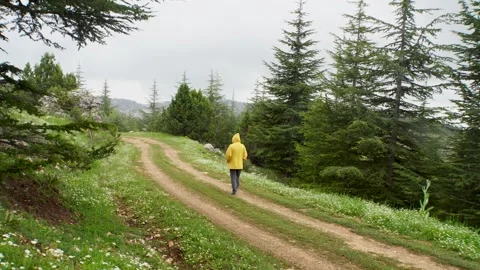 LONELY FEMALE WALKING ON THE PATHWAY Stock Footage 243304153