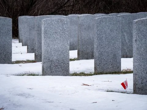 The lonely flag. Stock Photos