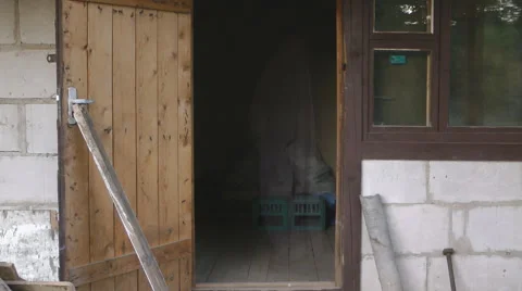 Lonely ghost. Harmless spirit. Curious phantom. Silently goes. Stock Footage 54046085