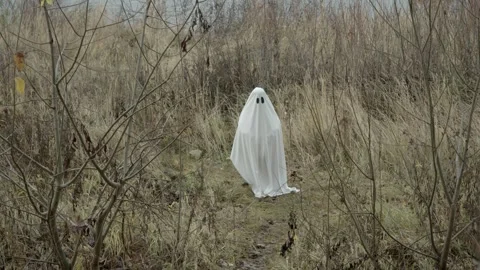 Lonely ghost rocks slowly in breeze, dry stalks and abandoned field stretch all Stock Footage 320247004