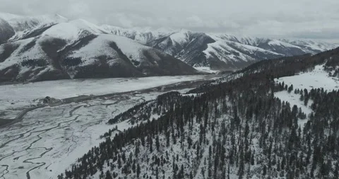 The lonely grassland after a snowfall Video stock 337985274