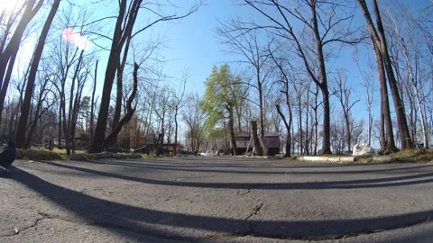 Lonely green tree Video stock 220545663