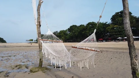 Lonely hanging hammock develops wind on the coastal strip.  Stock Footage 109187446