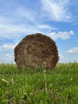 A lonely haystack against the blue sky Foto stock