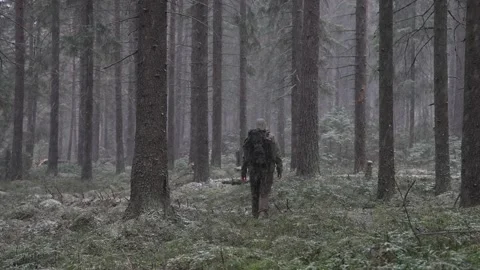 Lonely hiker with a backpack goes between the trunks of coniferous trees. Snow Video stock 275507360