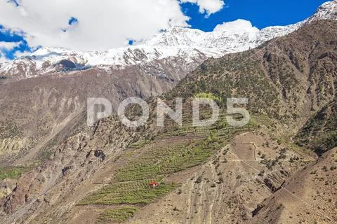 Lonely House Himalayan Peaks Survival Concept Stock Photos