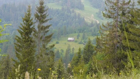 A lonely house in the mountains. 動画素材 75167903