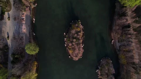 Lonely Island from Above Vidéo 328564407