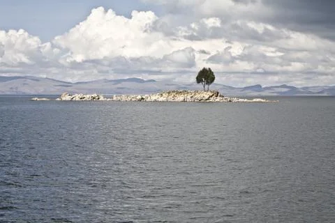 Lonely Island Tree Stock Photos