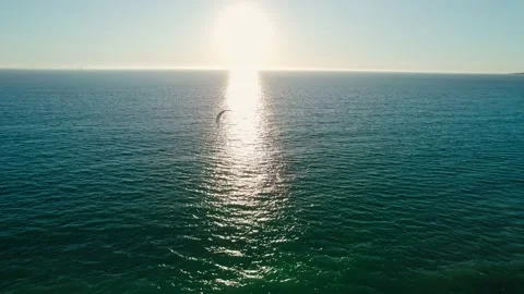Lonely kite surfer at sunset Stock Footage 230241258