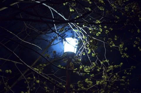 Lonely lantern Stock Photos
