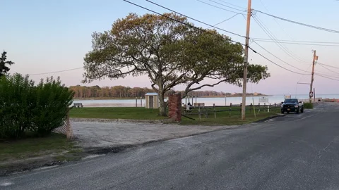 A lonely majestic tree grows alongside shoreline in the Hamptons NY Stock Footage 196181580