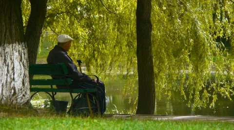 Lonely man (grandfather) is sitting on a bench on the shore of the pond Stock Footage
