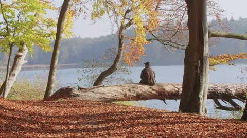 A lonely man in a leather jacket looks at an autumnal lake. Видео 76207924