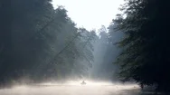 Lonely Man With A Paddle In The Boat Swimming On A Calm River In Dawn Fog. The Stock Footage