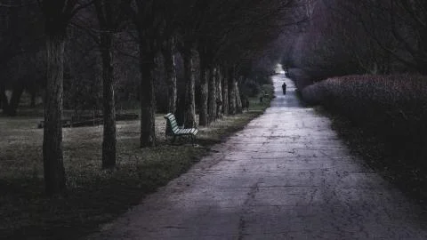 A lonely man passing by an empty bench in a park. Stock Photos