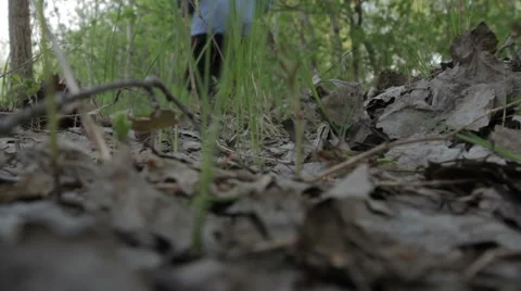 Lonely man running in the woods Stock Footage 62834124