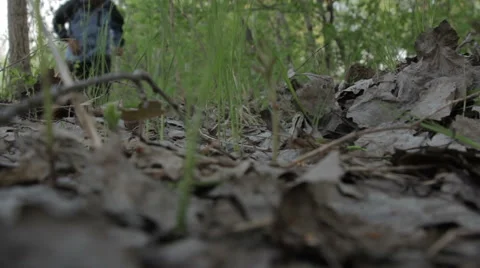 Lonely man running in the woods Stock Footage 62834370