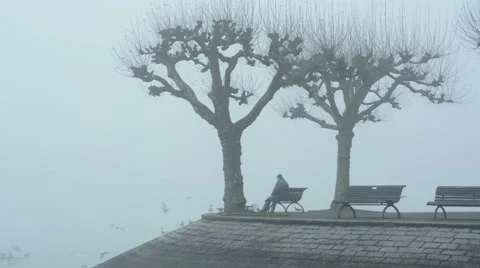 Lonely man sitting on a bench next to a misty lake Stock Footage 62352291