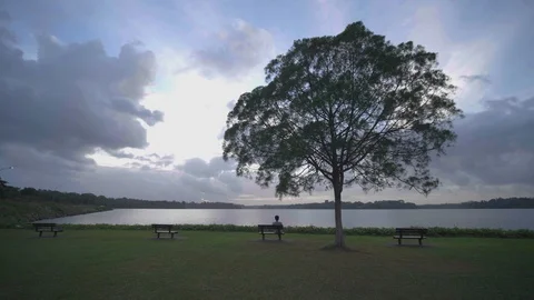 Lonely man sitting under a tree in a old  reservoir in Singapore at sunset Stock Footage 123891514