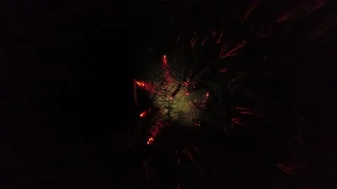 Lonely man standing in the night forest among the trees. Video stock 181591938
