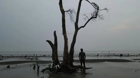 A lonely man struggles with his inner demons under a dark tree looking Stock Footage 271342526