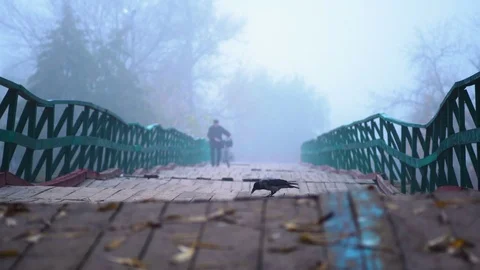 Lonely man walking bridge Stock Footage 81643327