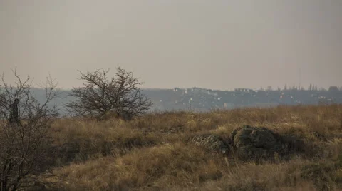 Lonely man walking on the empty field Stock Footage 55258928