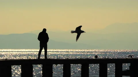Lonely man walking on the empty pier at sunset, depression thinking concept Stock Footage 152312301