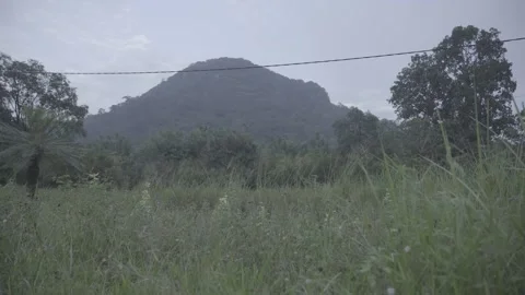Lonely mountain 스톡 동영상 310449262