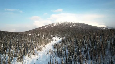 Lonely mountain surrounded by winter forest Vidéo 171577995